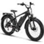 RipCurrent S - Electric Fat-Tire Bike - CHARGED UP FREEDOM